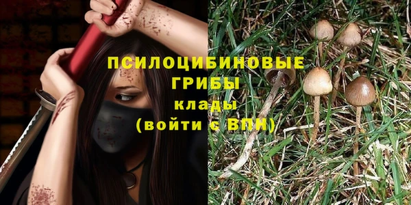 тгк Наволоки