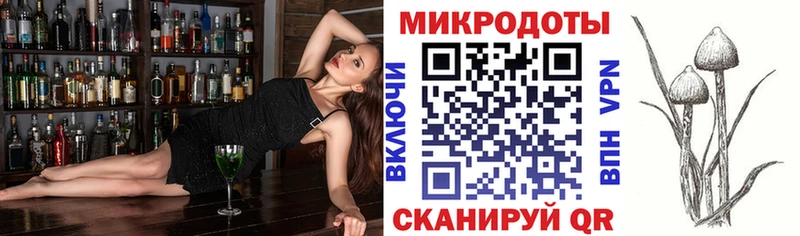 блэк спрут зеркало  как найти закладки  Ачхой-Мартан  Псилоцибиновые грибы прущие грибы 